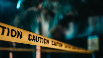 The Layperson's Guide to the SigRed Bug